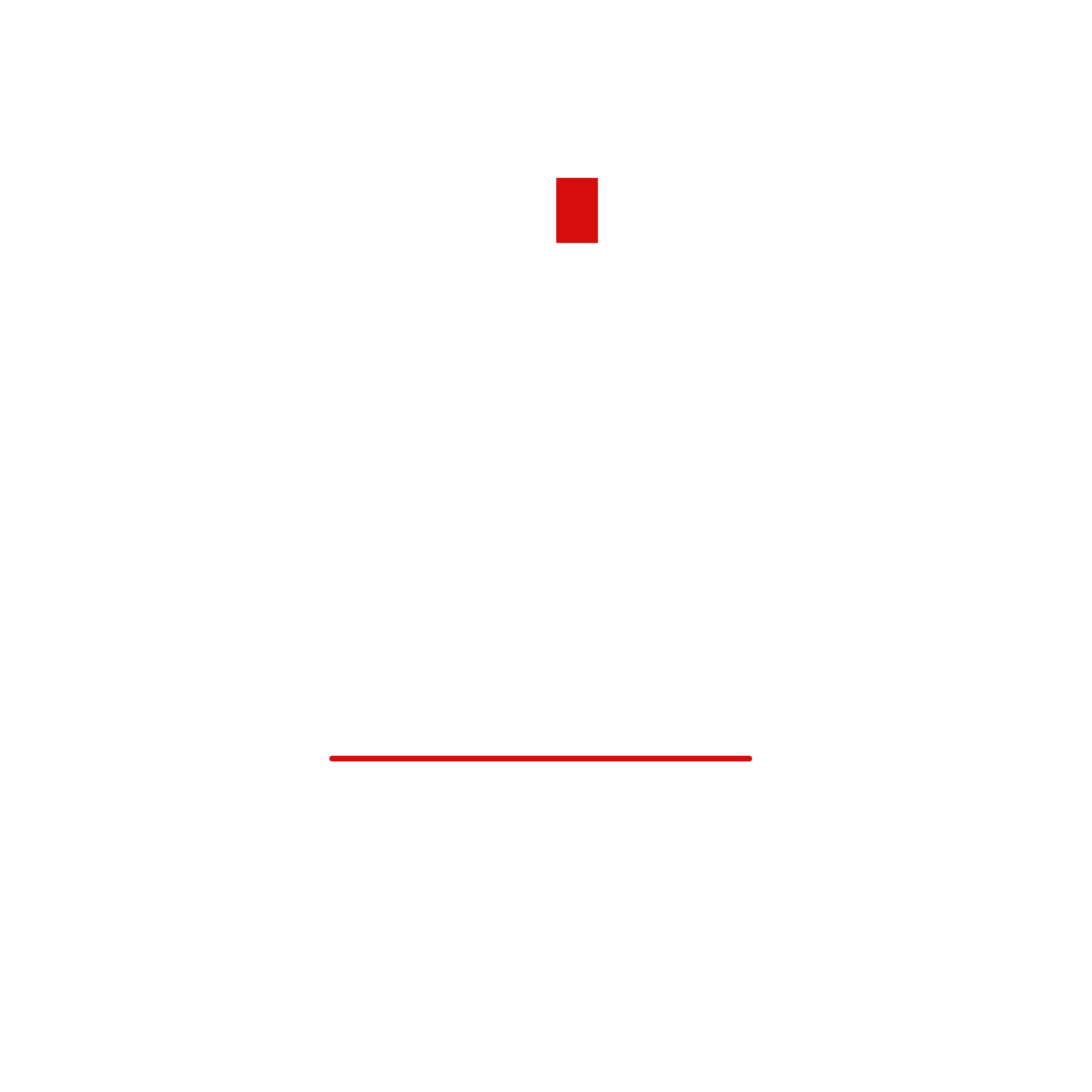 Naive Litery Agency